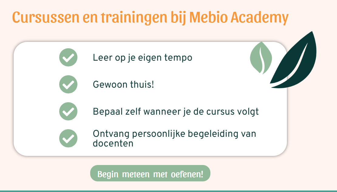 Mebio Academy